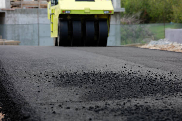 Best Custom Driveway Pavers  in , MI